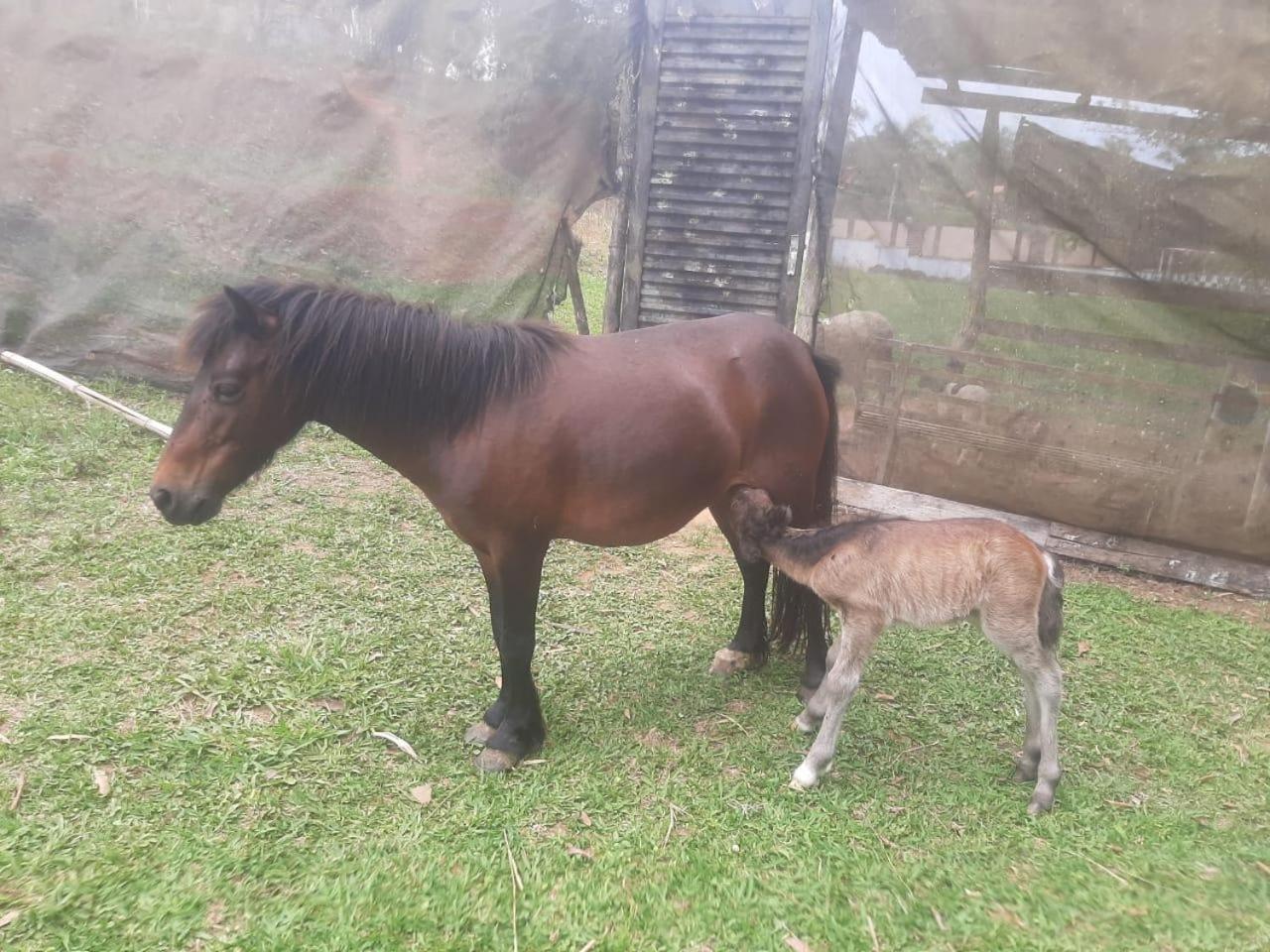 Pousada Kart Clube São João del Rei Esterno foto